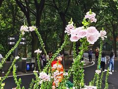 -广州市白云山风景名胜区