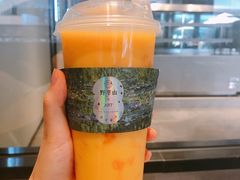 -野萃山·潮汕厚果汁(十亩地店)
