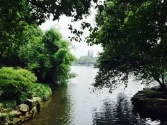 -楼外楼(玉泉店)