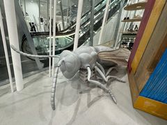 -COMME des GARCONS(银座三越店)