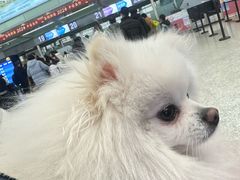 -常州奔牛国际机场