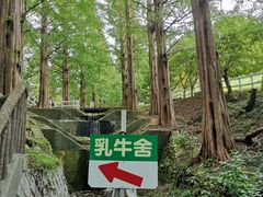 -神户市立六甲山牧场