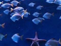 -沈阳海洋探索中心