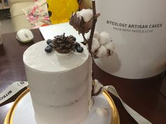 -Biteology Artisan Cakes(红庄·国际文化保税创新园店)