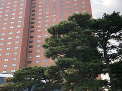 -新罗免税店(首尔总店)