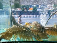 -凯华海鲜火锅·传承三十六年