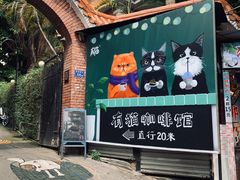 -有猫主题·治愈系猫咖(曾厝垵店)