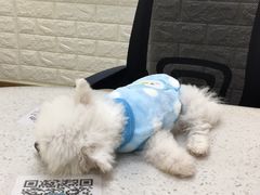 -美联众合动物医院·24h京西诊疗中心