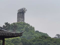 -江心屿景区