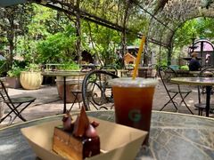 -The Grounds of Alexandria