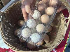 -马陆小张葡萄园农家乐