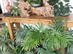 -茶油香闽南菜·花园餐厅(前埔店)