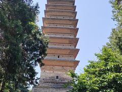 -洛阳白马寺