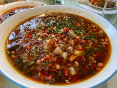 -陈麻婆豆腐总店