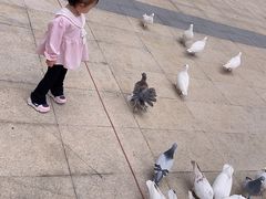 -大鹏佳兆业广场