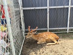 -渔岛海洋度假区