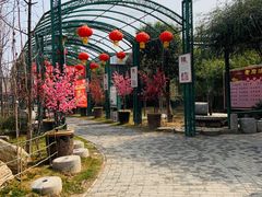 -老磨油饼(高陵店)