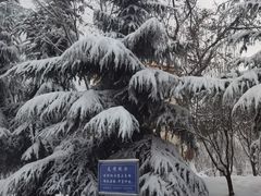 -海底捞火锅(威高广场店)