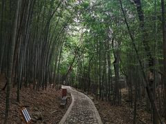 -穹窿山景区