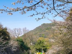 -杭州少年儿童公园