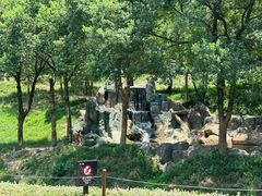 -杭州野生动物世界