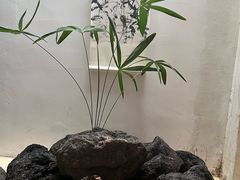 -曲廊院(东四十一条店)