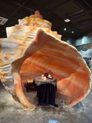 -Zoolung Zoolung动物主题公园(海信广场店)