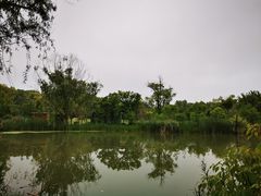 -昆山城市生态森林公园