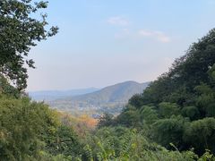 -韬光茶庵