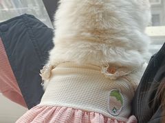 -怪兽屋·羊驼·猫咖·狗咖(俊华广场店)