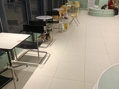 -怪兽屋·羊驼·猫咖·狗咖(俊华广场店)