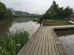 -贵阳市花溪国家城市湿地公园