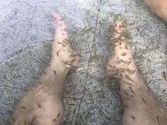 -咸宁万豪温泉谷度假区