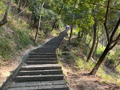 -火炉山森林公园