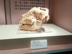 -咸宁市博物馆
