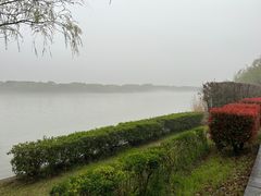 -太阳岛度假酒店