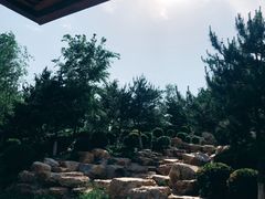 -莫子山公园
