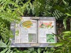 -深圳仙湖植物园