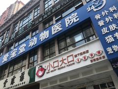 -瑞鹏宠物医院·爱宠堂·骨外专科(西荷分院)