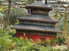 -南宫五洲植物乐园