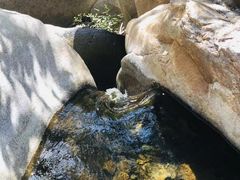 -碓臼峪自然风景区