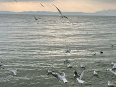 -捞渔河湿地公园