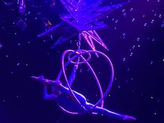 -珠海横琴长隆《卡卡虎奇遇记》