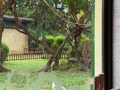 -熊猫自助餐厅.萌趣城堡(长隆熊猫酒店)