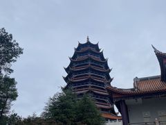 -铁山坪森林公园