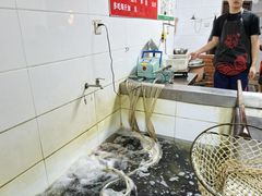 -都江堰石锅鱼