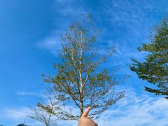 -风云岭森林公园