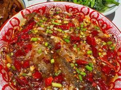 -欧记大排档·景德菜(上海首店)