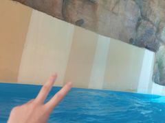 -上海玛雅海滩水公园