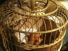 -胡桃里音乐酒馆(白云五号T5 MALL店)